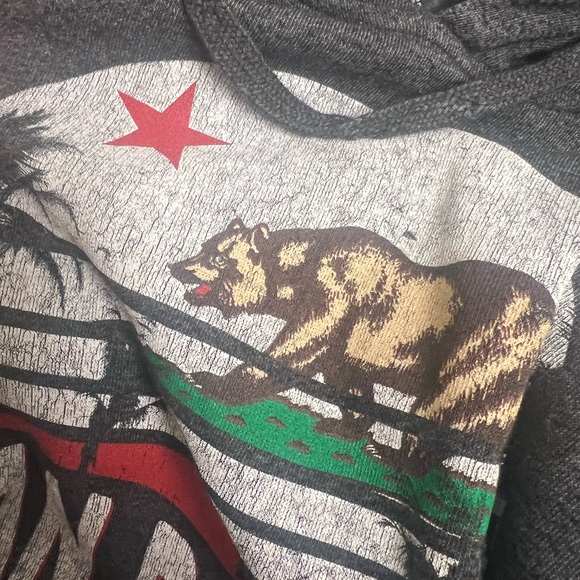 Y2K Gray California Hoodie! - Picture 9 of 13